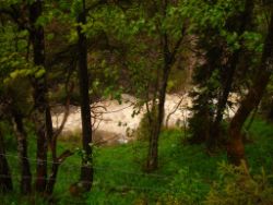 2013-06-01_Regina-F-Rau_Staffelalm_Hochwasser (085).JPG